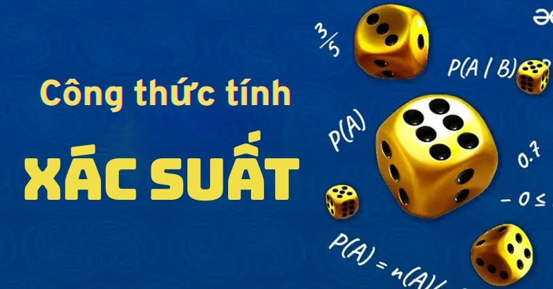 Suất Xác là gì? Định nghĩa, Ví dụ và Ứng dụng Gallery 1