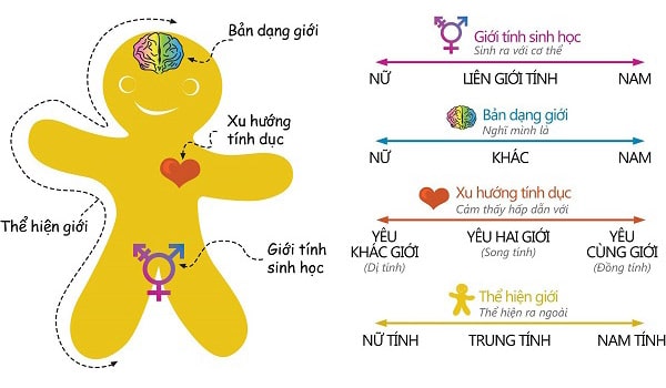 Lưỡng tính là gì? Gallery 1