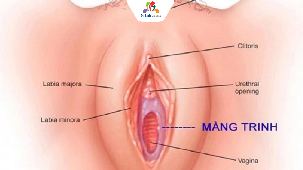 Quan Hệ Bằng Tay Có Bị Rách Màng Trinh Không? Gallery 1