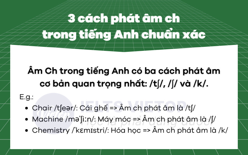 Ch là sáng hay tối? Gallery 1