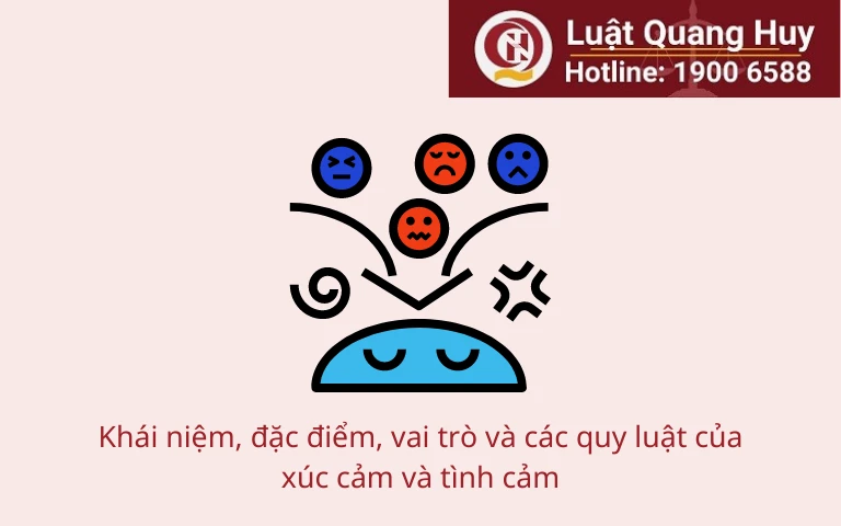 Ví dụ về Quy luật Thích ứng của Tình cảm Gallery 1