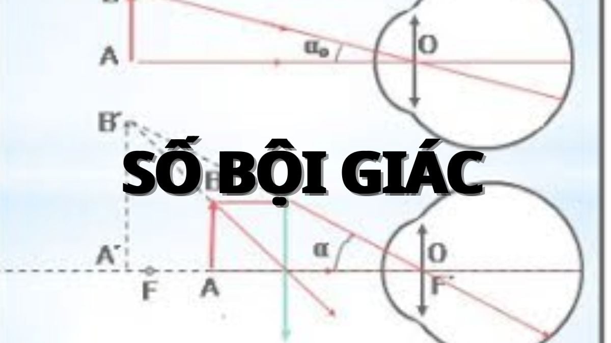 Số bội giác của kính lúp cho biết gì? Gallery 1