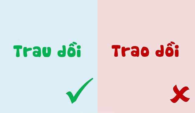 Trau dồi hay Trau dồi? Gallery 1