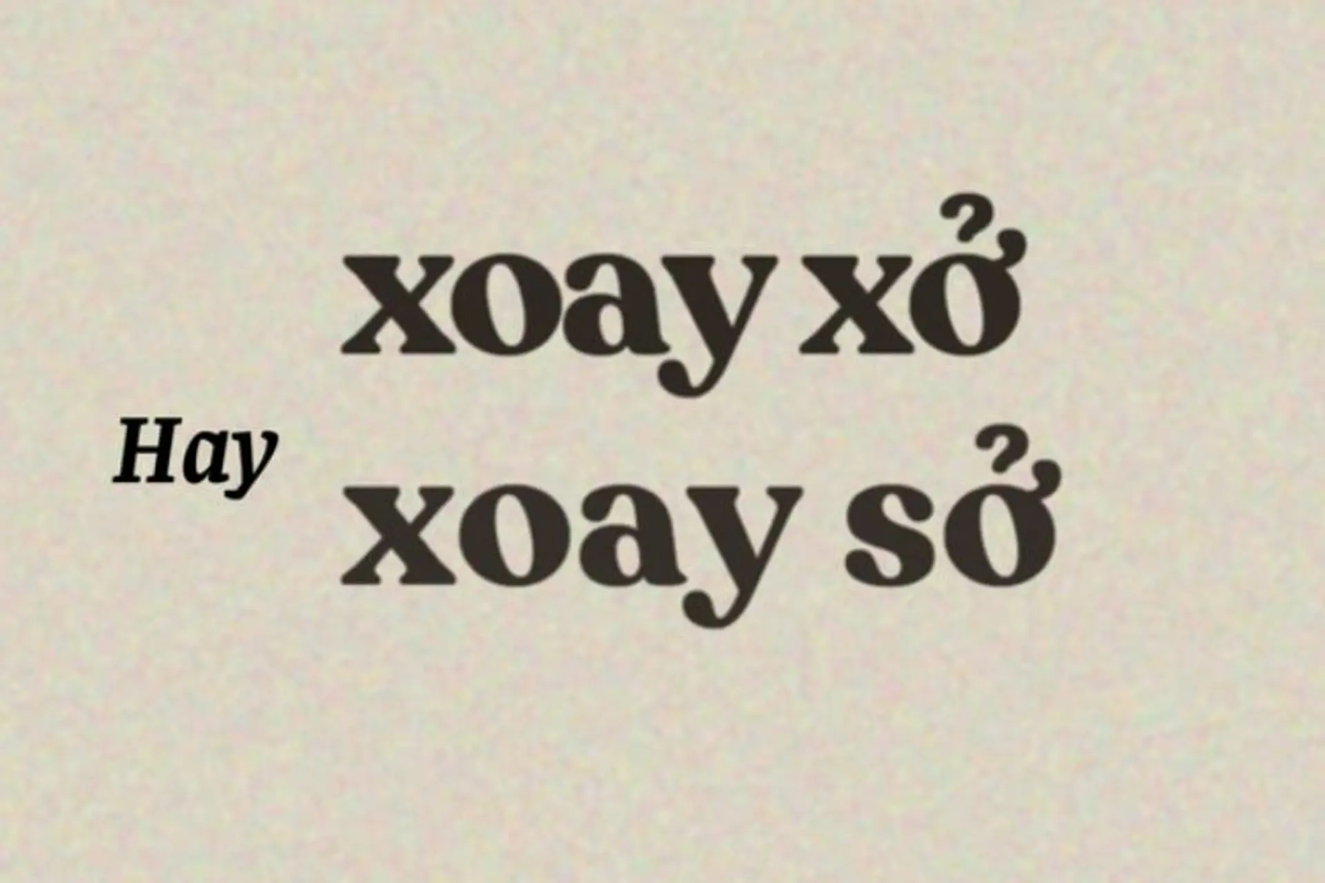 Xoay sở hay xoay sở? Gallery 1