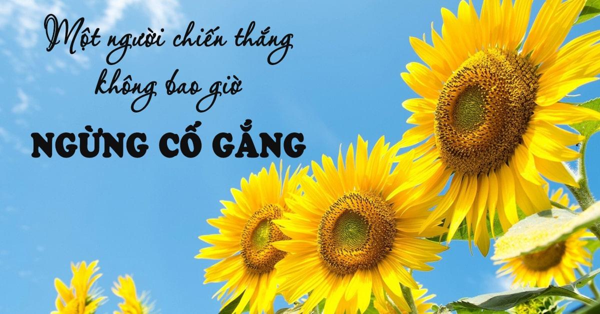 Cố Gắng Vươn Lên: Bí Quyết Thành Công Gallery 1