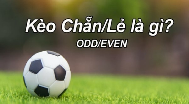 Tài Là Lẻ Hay Chẵn? Gallery 1