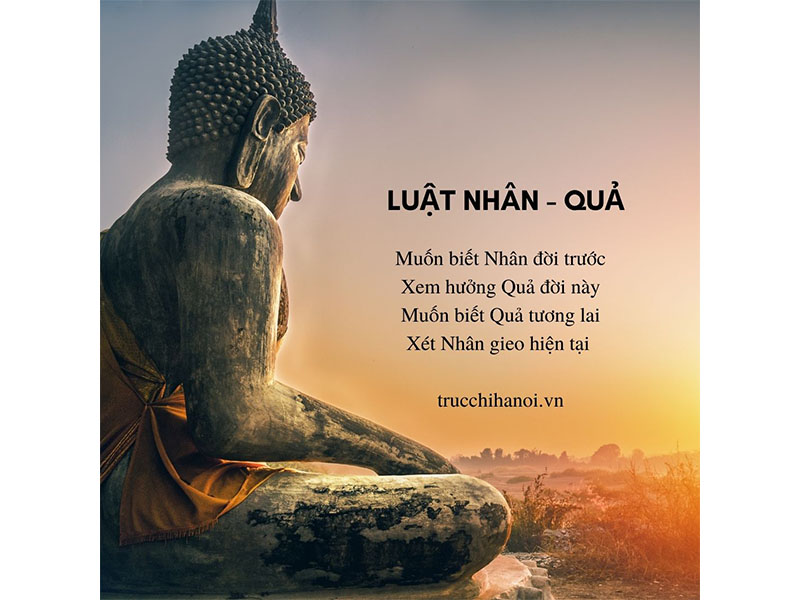 Luật Nhân Quả Không Chừa Một Ai Gallery 1