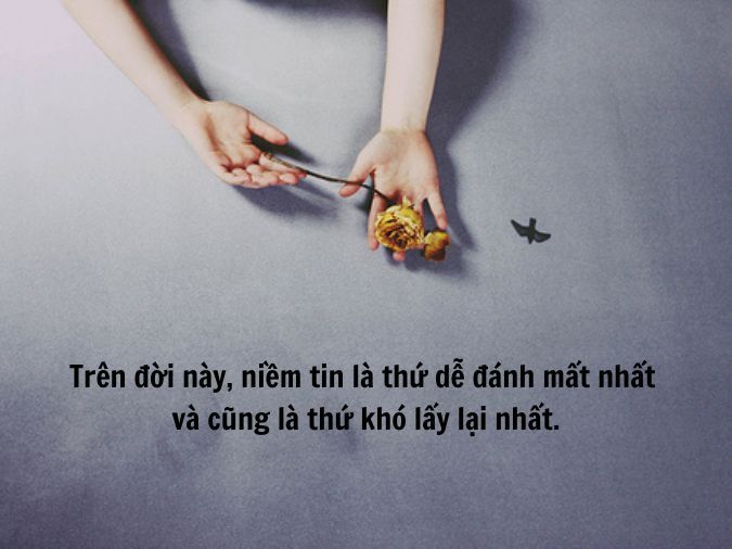 Vì Anh Đã Vô Tình Đánh Mất Niềm Tin Gallery 1