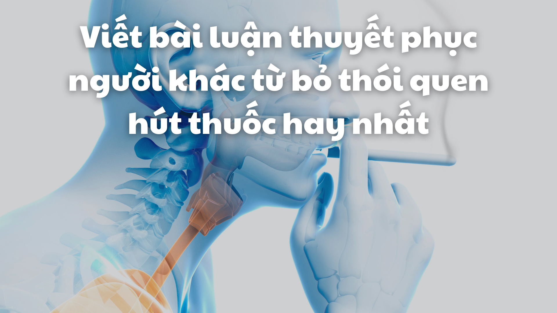 Cách Thuyết Phục Người Thân Bỏ Thuốc Lá Hiệu Quả Gallery 1