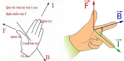 Quy tắc bàn tay trái: Nguyên lý và ứng dụng Gallery 1