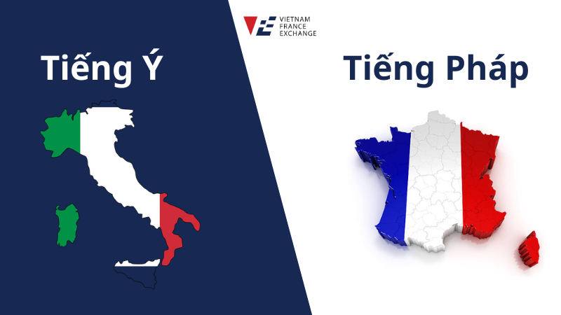 Tiamo Tiếng Pháp: Ý Nghĩa, Cách Sử Dụng Và Những Điều Cần Biết Gallery 1
