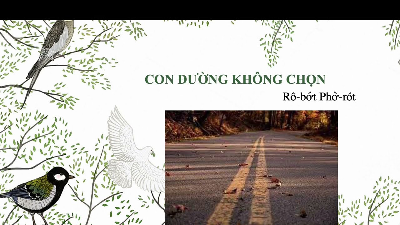 Con Đường Không Chọn Gallery 1