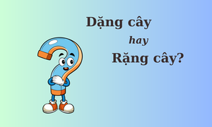Dữ dội hay giữ dội? Lựa chọn nào phù hợp với bạn? Gallery 2