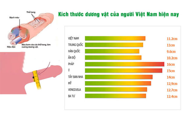 Cậu nhỏ ngắn phải làm sao? Gallery 1
