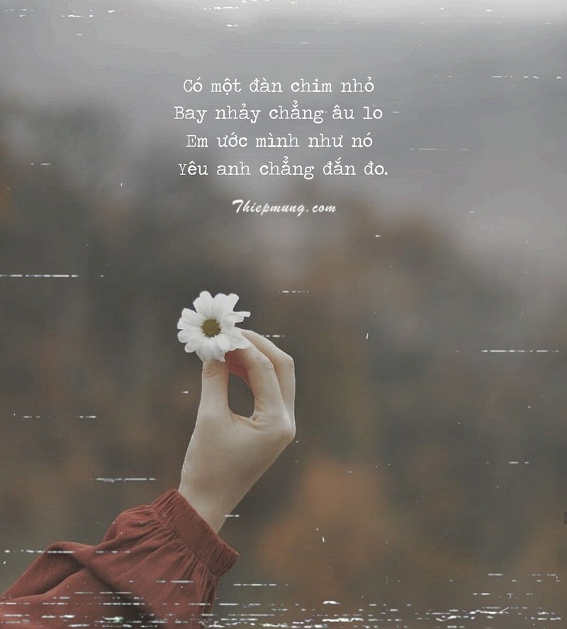 Rải Thính Là Gì? Hướng Dẫn Chi Tiết Cách Rải Thính Hiệu Quả Gallery 1