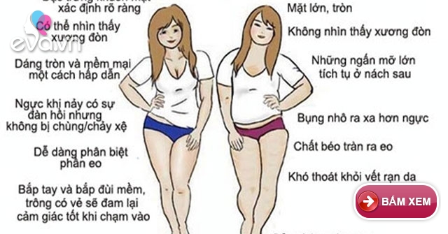 Thân Hình Đầy Đặn: Hướng Dẫn Chăm Sóc Và Tự Tin Tỏa Sáng Gallery 1