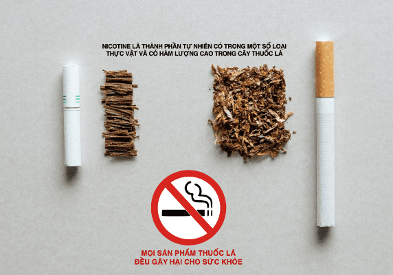 Thuốc Lá Không Nicotine: Sự Thật Về Những Sản Phẩm Thay Thế Gallery 1