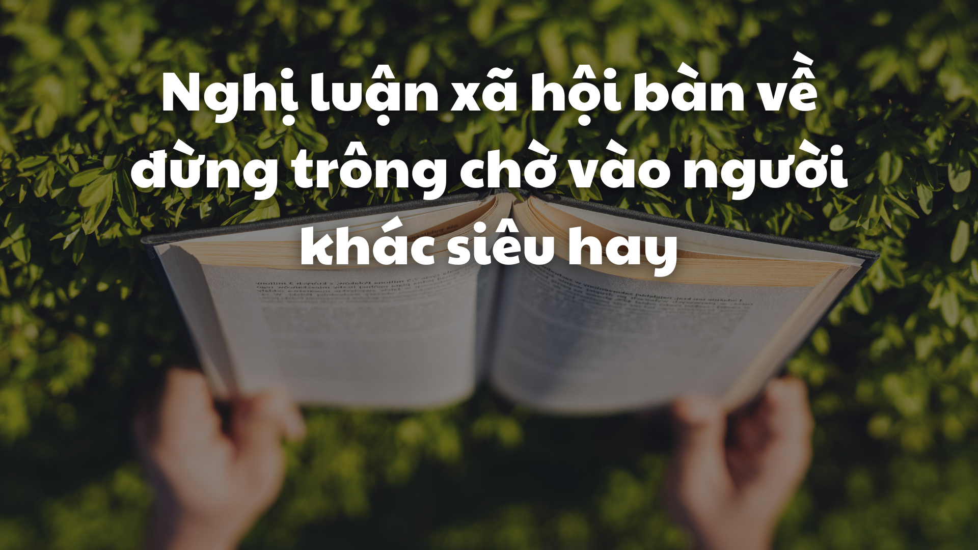 Đừng trông chờ vào người khác Gallery 1