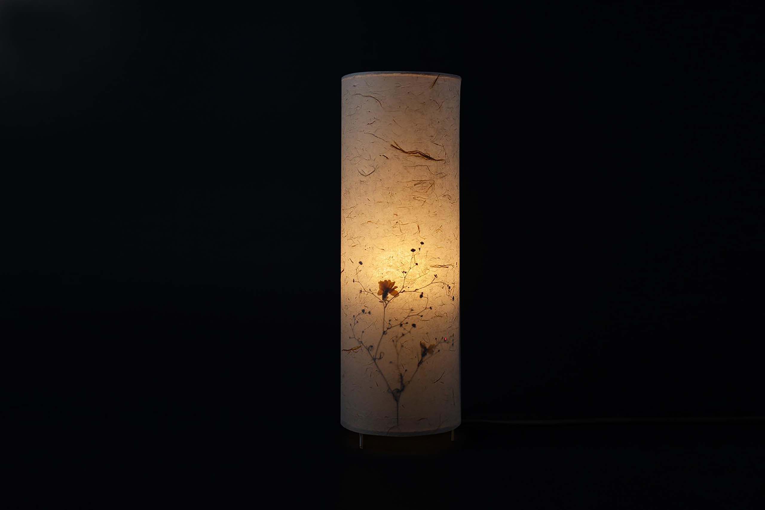 Trang Giấy Trước Đèn: Hiệu Ứng Ánh Sáng và Ứng Dụng Thú Vị Gallery 1