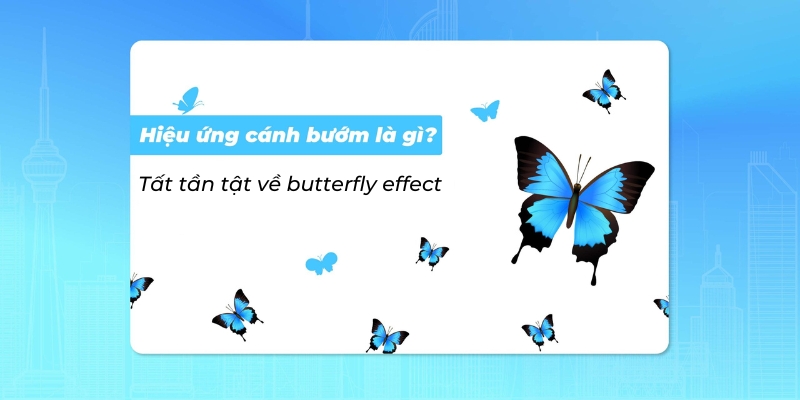 Hiệu ứng cánh bướm là gì? Ví dụ minh họa Gallery 1