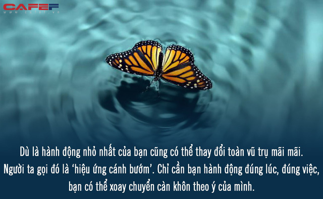 Hiệu ứng cánh bướm nghĩa là gì?