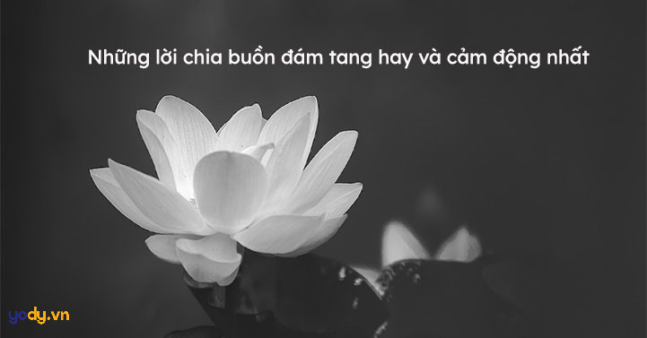 Lời An Ủi Cho Người Mất Người Thân Gallery 1