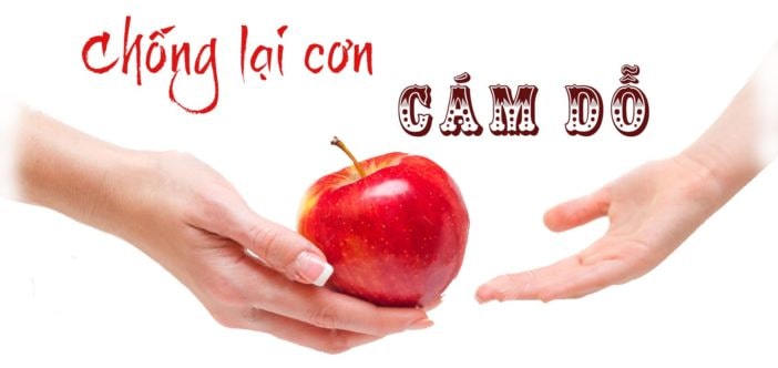 Cám Dỗ Cuộc Đời Gallery 1