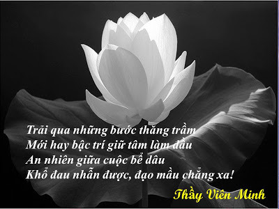 Đau Khổ Tột Cùng Gallery 1