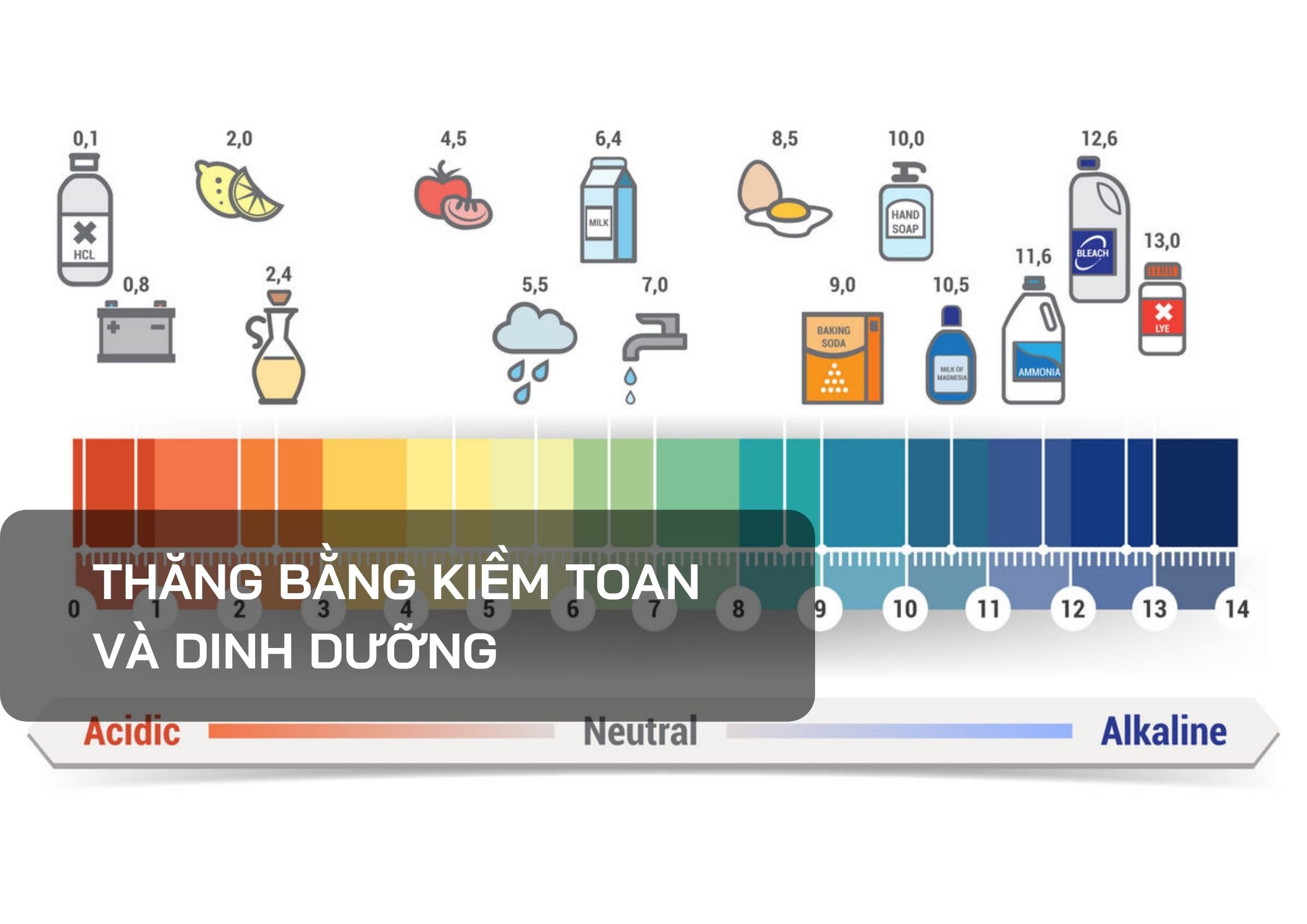 Thăng Bằng Kiềm Toan Là Gì? Gallery 1