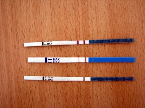 Thử que 1 vạch mờ là sao? Gallery 1