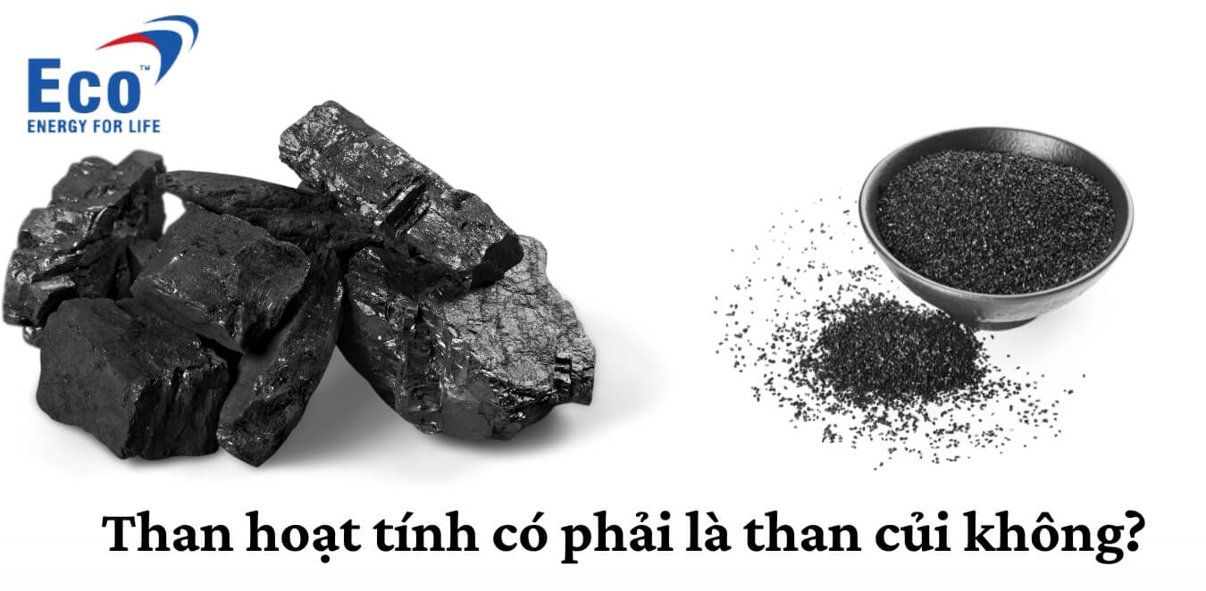 Than Củi Có Lọc Nước Được Không? Gallery 1