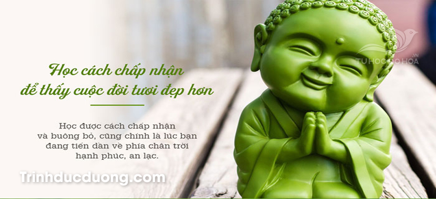 Học Cách Chấp Nhận Sự Thật Gallery 1