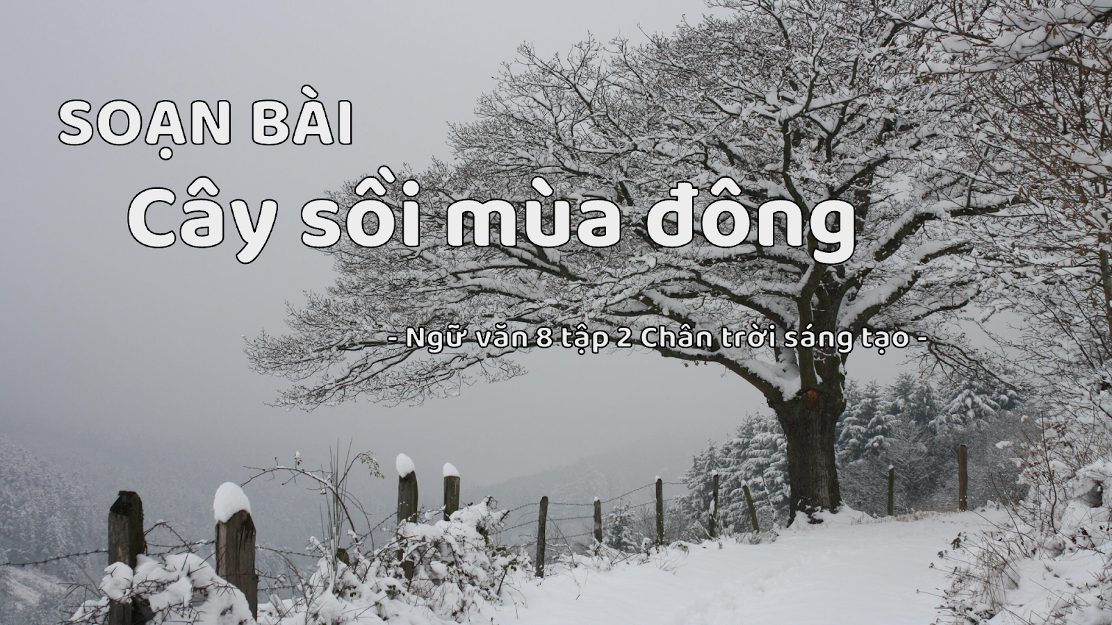 Soi Mua Dòng: Hướng Dẫn Chi Tiết và Chiến Lược An Toàn Gallery 1