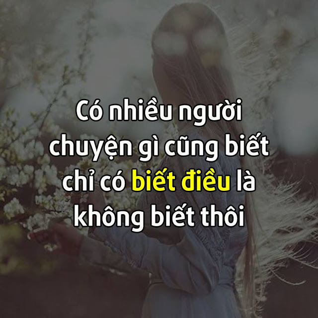 STT Sống Không Biết Điều: Những Câu Nói Hay Về Sự Vô Tâm Và Ích Kỷ Gallery 1