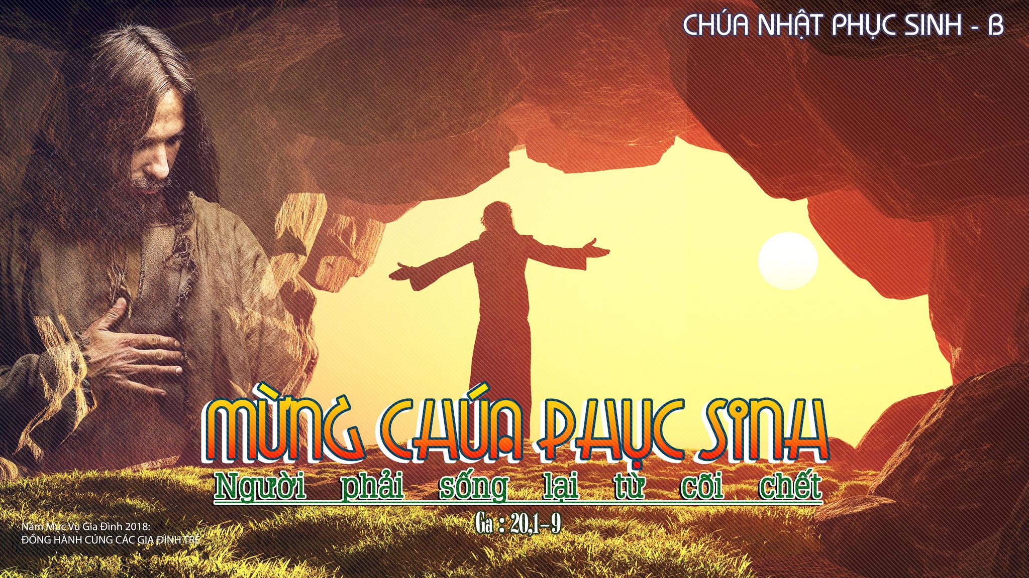 Sống Lại Bảo Vệ Hạnh Phúc Gallery 1