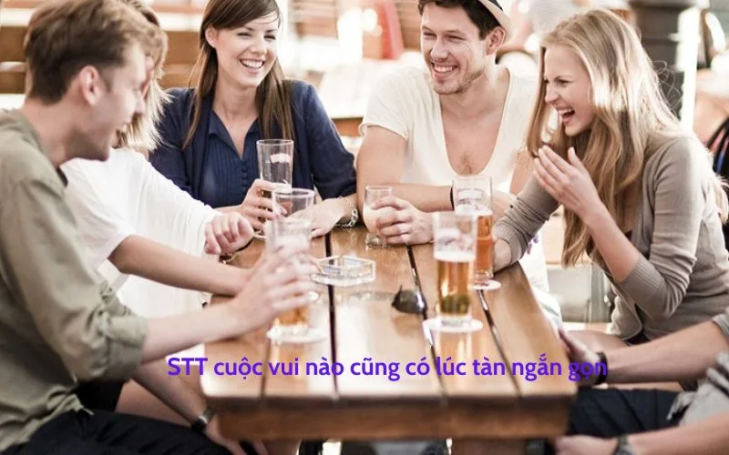 Cuộc Vui Nào Cũng Có Lúc Tàn Gallery 1
