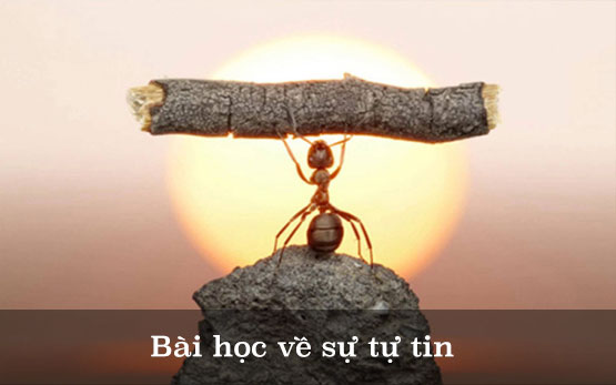 Bài Học Về Sự Tự Tin Gallery 1