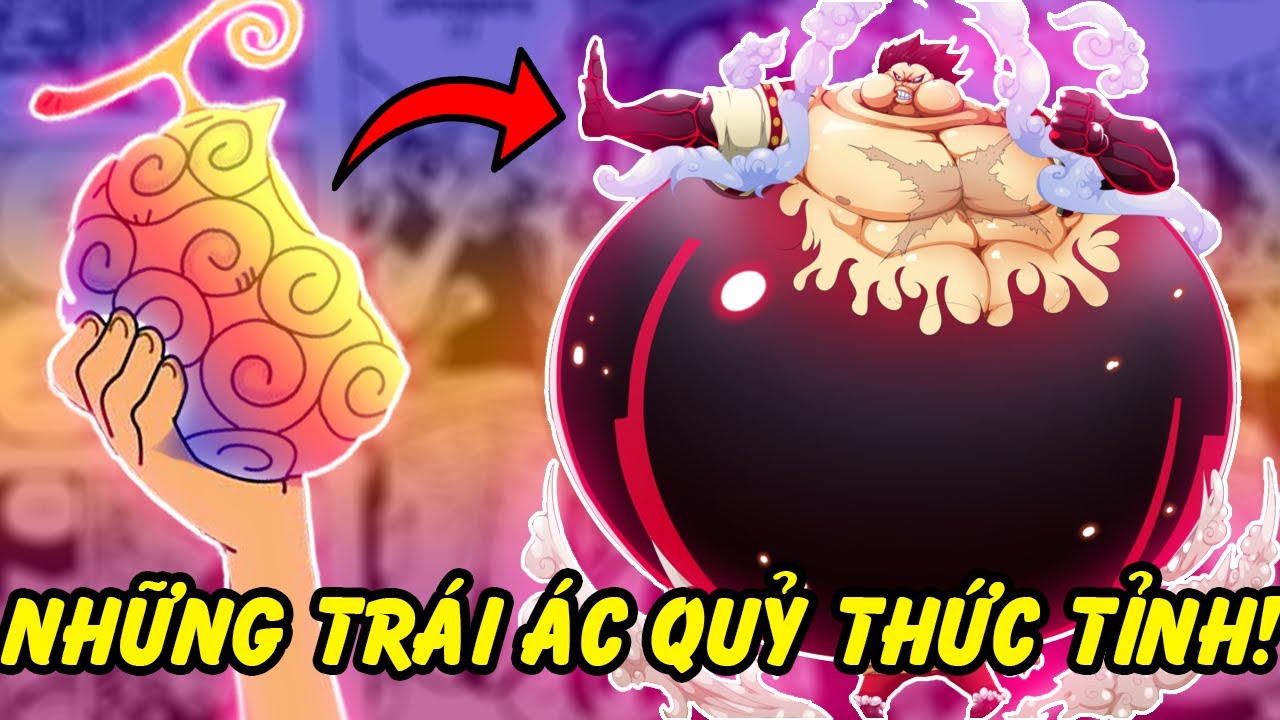 Thức tỉnh Trái Ác Quỷ Gallery 1