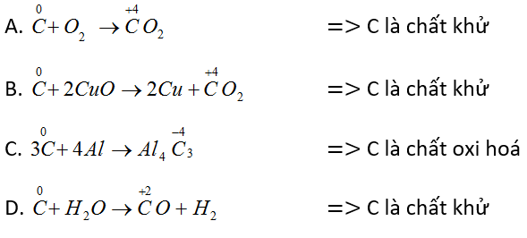 CO2 có tính khử không? Gallery 1