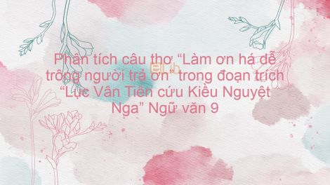 Làm ơn há dễ trông người trả ơn? Gallery 2