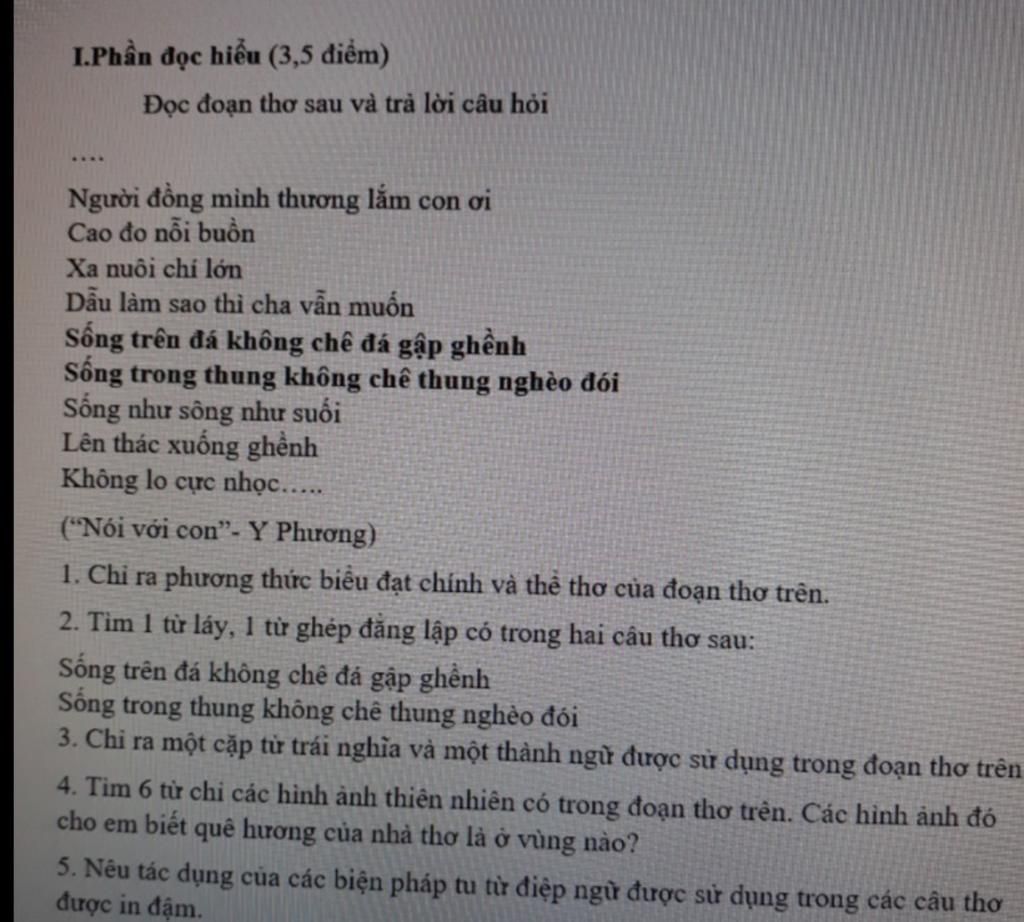 Cao Đo Nỗi Buồn Xa Nuôi Chí Lớn Gallery 1