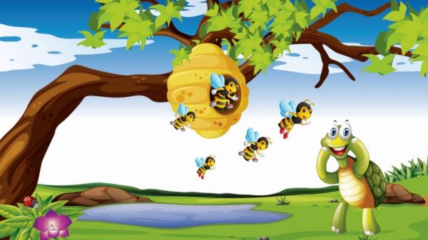 Câu chuyện rùa con tìm nhà