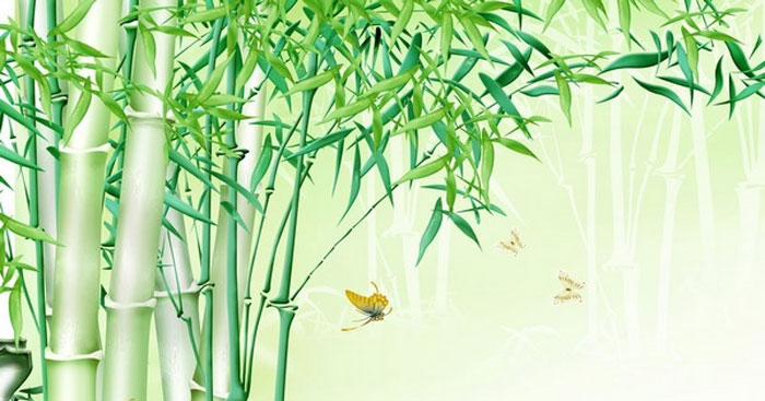 Cây Tre Việt Nam Lớp 6 Gallery 1