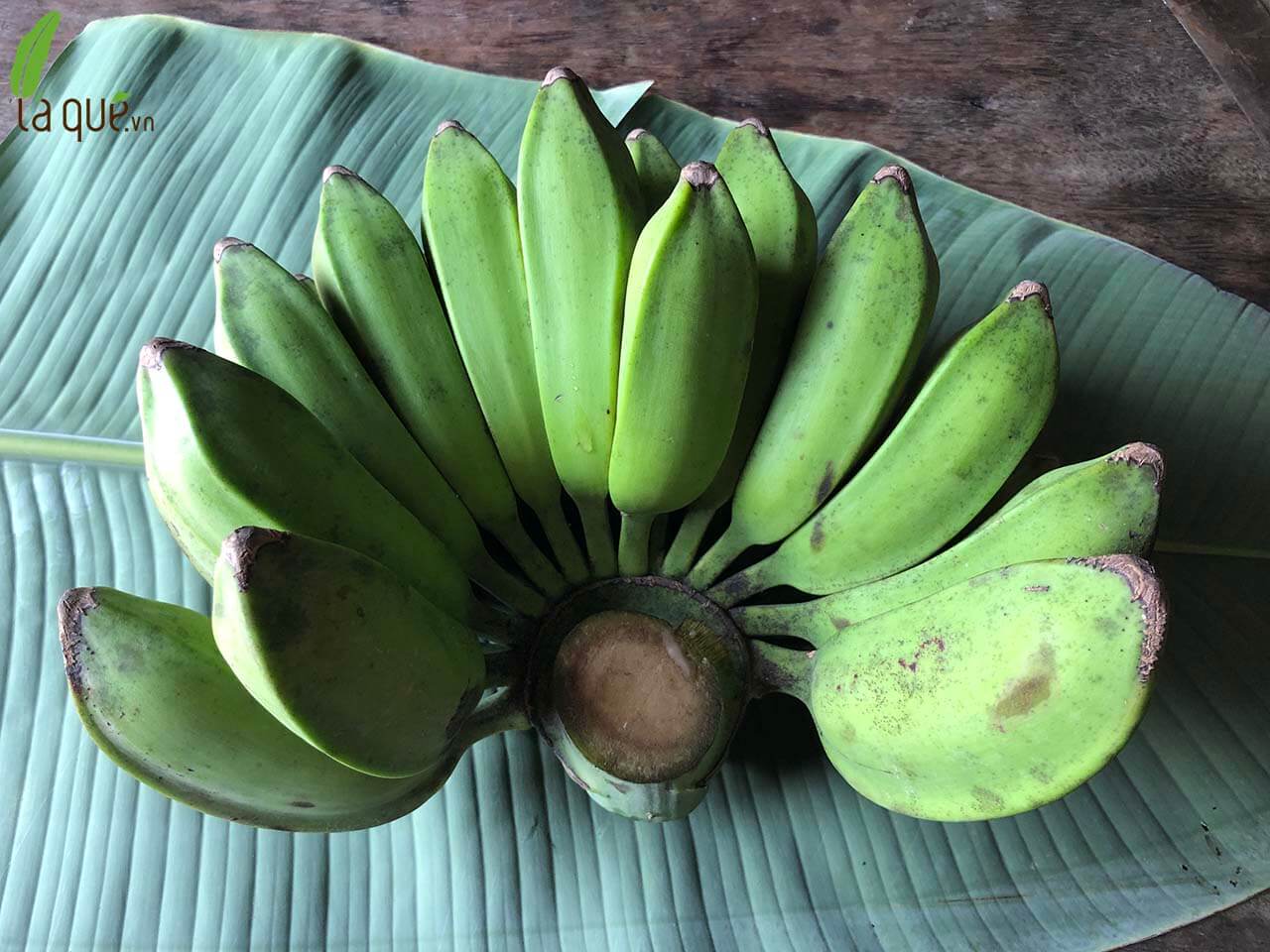 Hình ảnh chuối lá