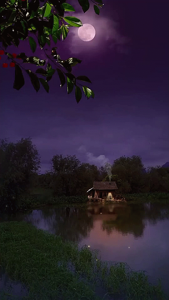 Hình ảnh đêm trăng buồn