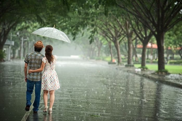 Tus Trời Mưa: Những Cảm Xúc Và Hình Ảnh Đẹp Gallery 2