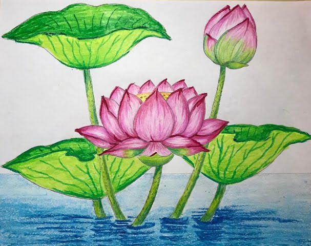 Hai Hình Ảnh Hoa Sen Trong Bài Ca Dao "Trong Đầm Gì Đẹp Bằng Sen" Gallery 2