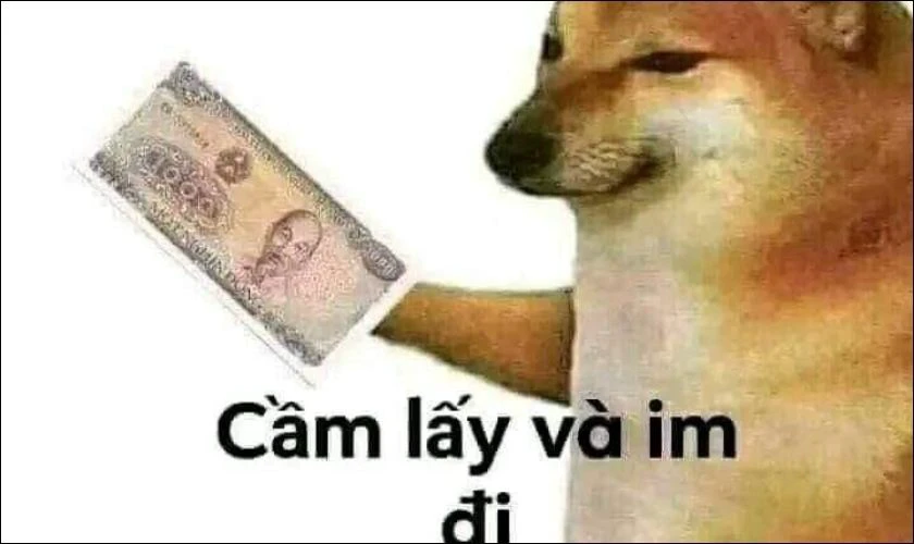Meme Hài Hước: Tuyệt Chiêu Giải Trí