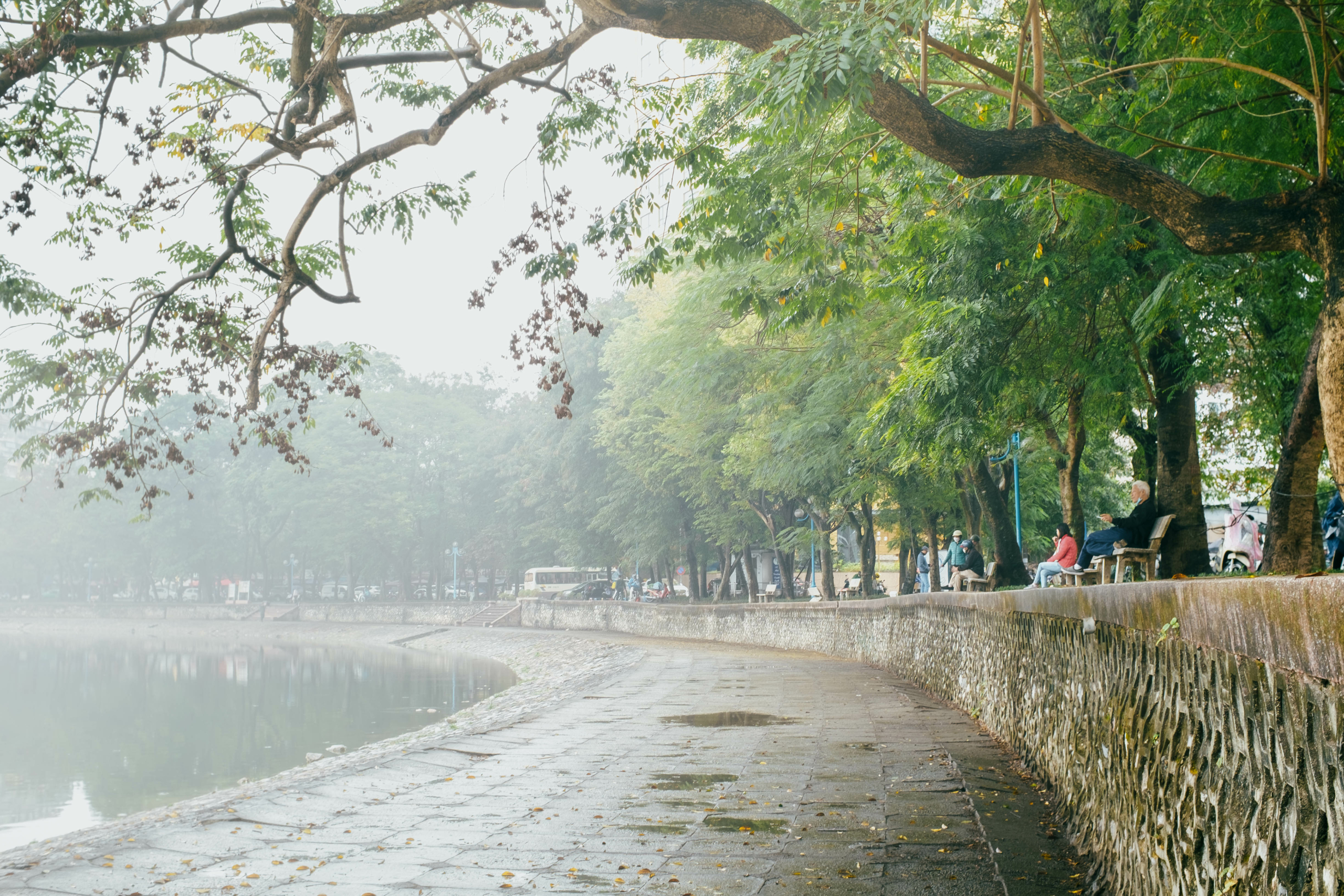 Hình ảnh mưa phùn