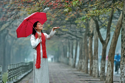 Hình ảnh mưa phùn Gallery 2